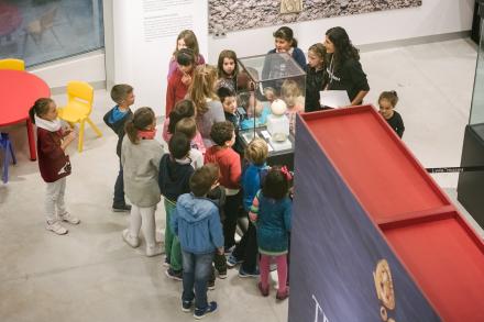 Grupo de niños observando una vitrina de la exposición Tresors de la Vila Joiosa